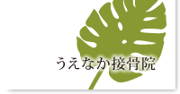 和歌山県海南市、うえなか接骨院。整骨院や美容クリニックをお探しの方も。交通事故治療・ぎっくり腰・寝違えでお困りなら是非。ミトコンドリアを使ったハイトーン治療も人気。