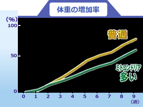 ミトコンドリアの影響でエネルギー代謝効率がUPする！